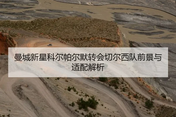 曼城新星科尔帕尔默转会切尔西队前景与适配解析